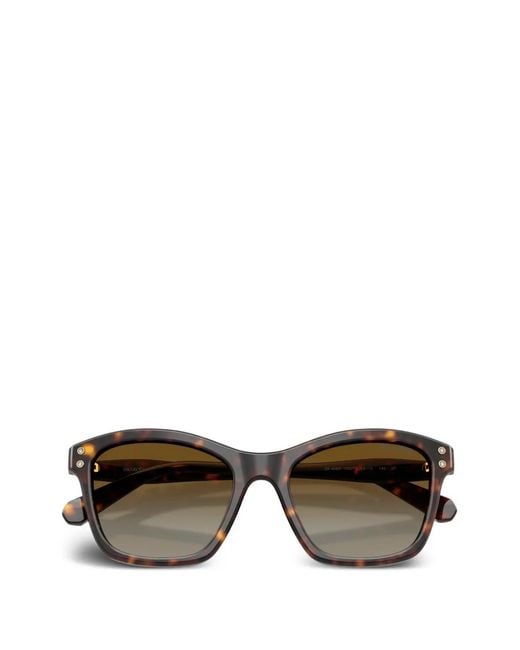 Swarovski Brown Square-Frame Sunglasses