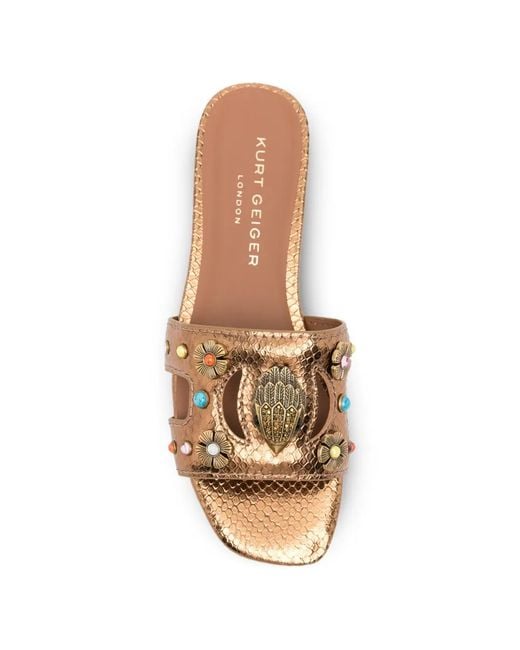Kurt Geiger Brown Eagle-Head Floral-Appliqué Sandals