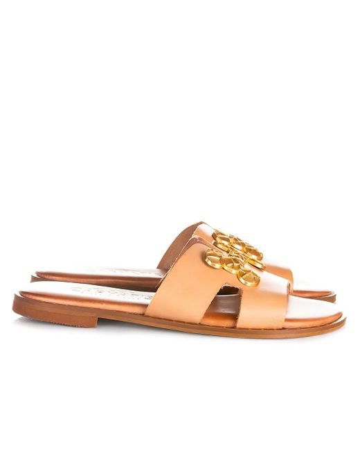 Caryatis Brown Embellishment Slides