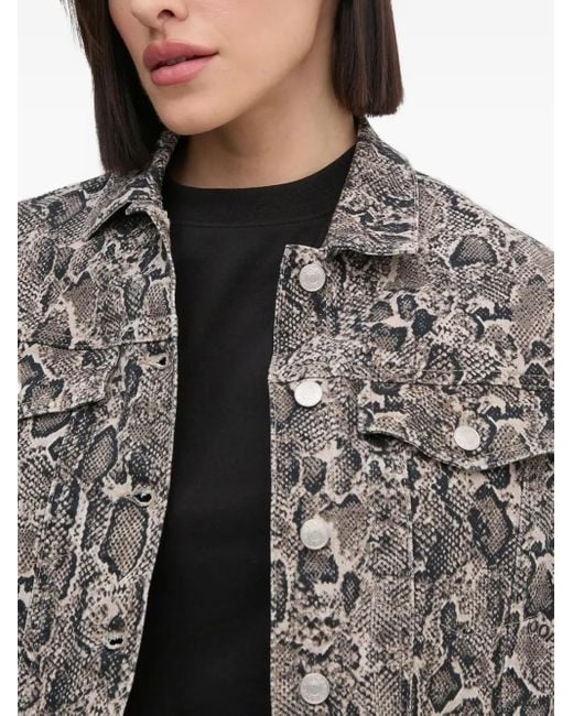 Joop! Gray Snake-print Denim Jacket