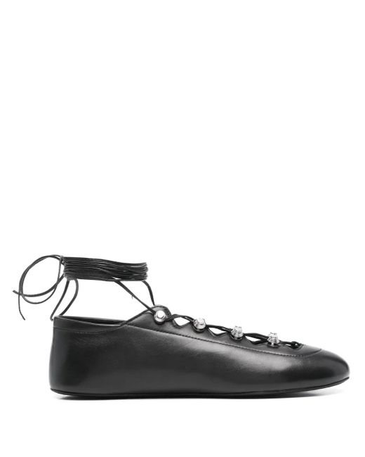 Ballerine Vyolette di Alexander Wang in Black
