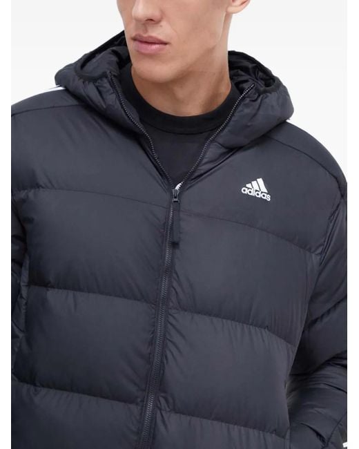 Adidas Blue Three-Stripe Padded Jacket for men
