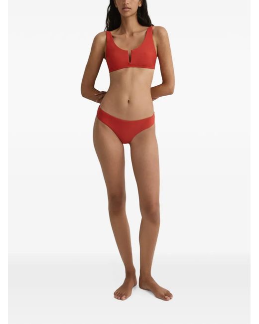 Bondi Born Bikinislip in het Red