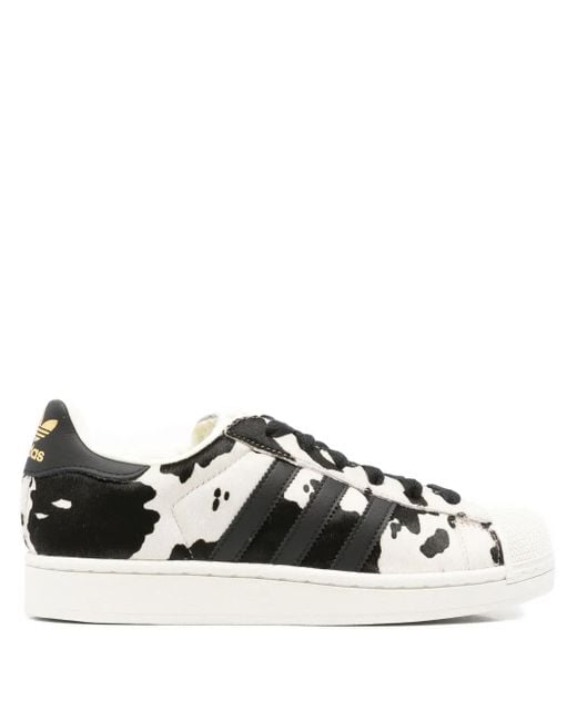 Adidas Superstar Sneakers Met Dierenprint in het Black