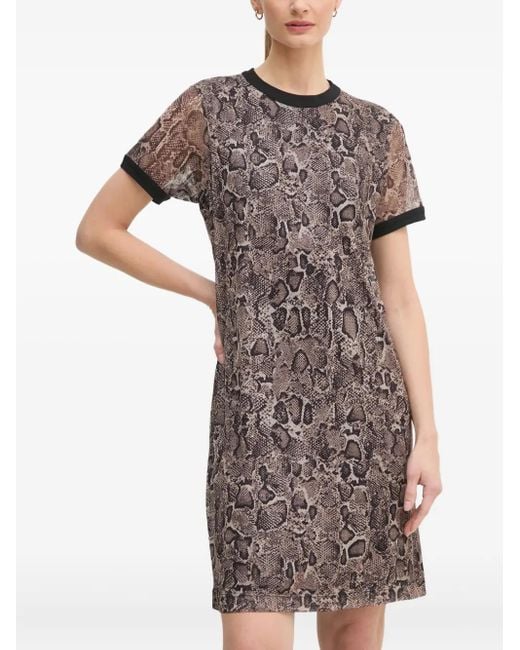 Joop! Gray Kleid Mit Schlangenleder-Print
