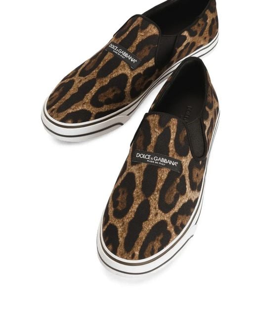 Dolce & Gabbana White Leo-Print Canvas Dg Sailing Sneakers for men