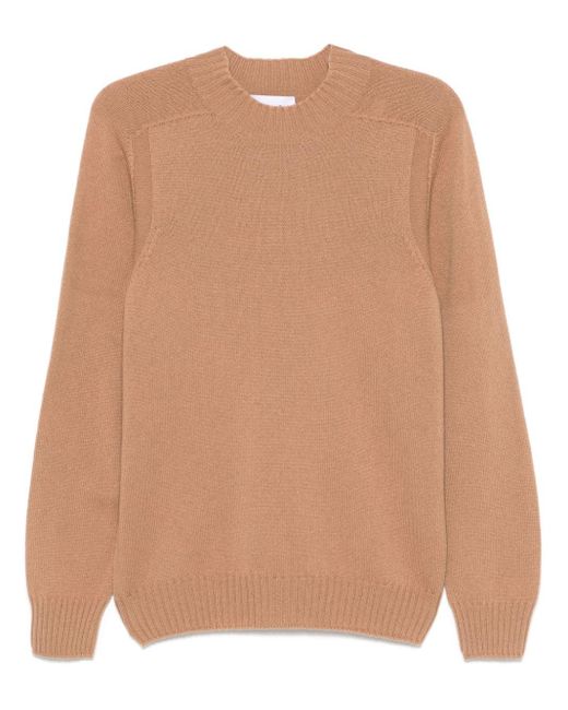 D4.0 Natural Virgin Wool Sweater for men