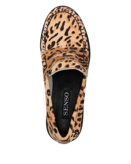 Senso Brown Cooper Vii Loafers