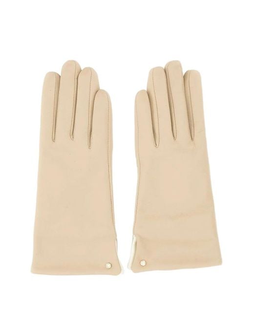 Gianni Chiarini レザーグローブ Natural
