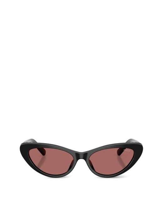 Polo Ralph Lauren Pink Ph4199U Cat-Eye Sunglasses