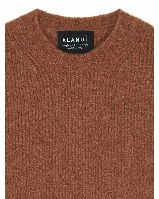 Alanui Brown Rib-Stitched Crew-Neck Sweater for men