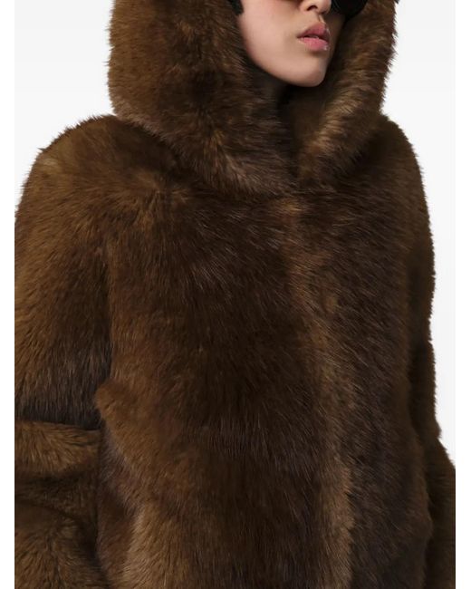 Apparis Brown Katin Hooded Jacket