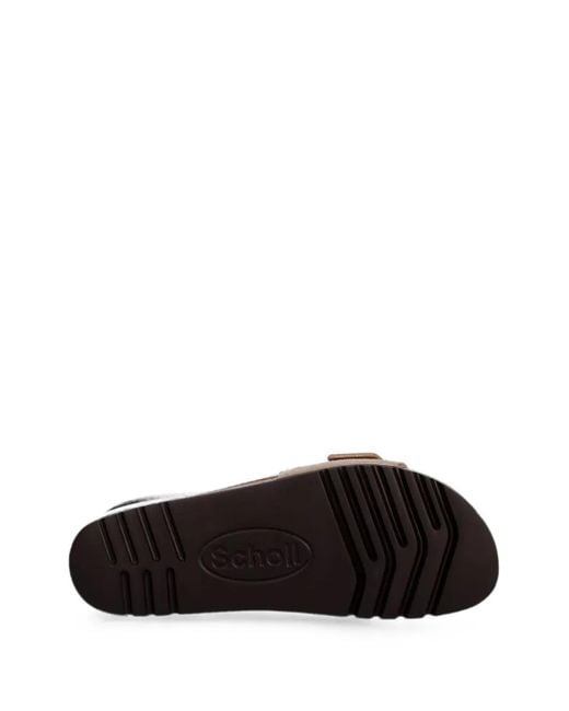 Scholl Brown Buckle-Fastening Slides
