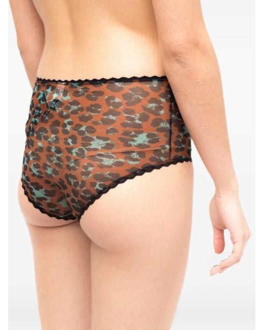 Laura Urbinati Gray Culotte À Imprimé Léopard Et Finitions En Dentelle