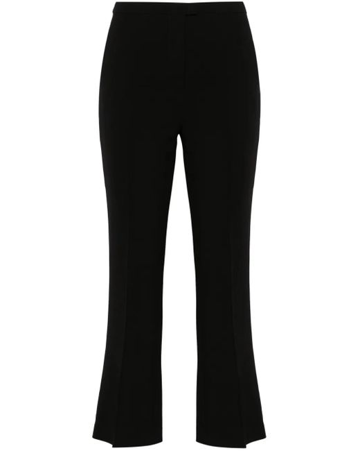 Blanca Vita Black Pleomele Cropped-Hose
