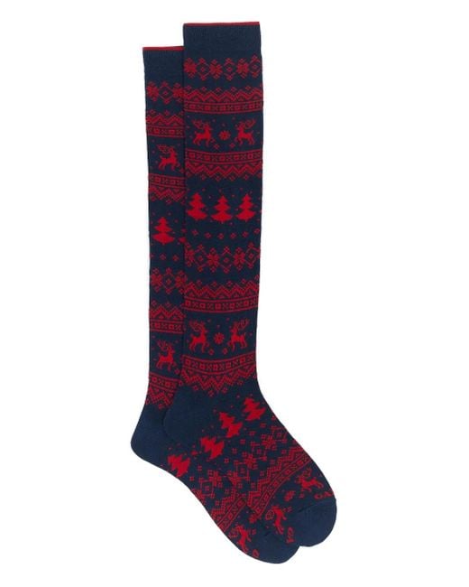 Gallo Purple Fairisle Knee-High Socks for men