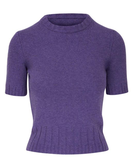 Khaite Purple The Luphia Cashmere Top