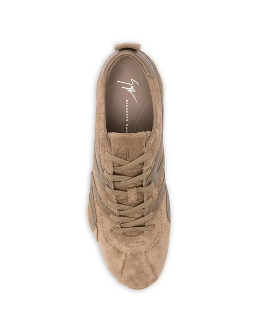 Giuseppe Zanotti Brown Suede Panelled Sneakers for men
