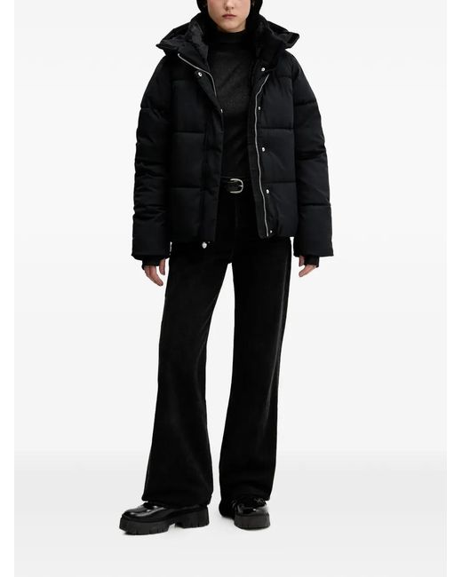 Hollister Black Hooded Puffer Jacket