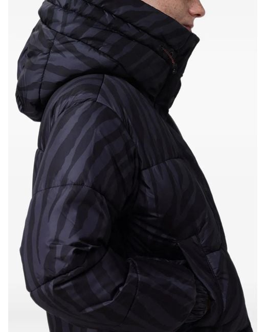 Save The Duck Blue Rhiannon Zebra-Print Puffer Jacket