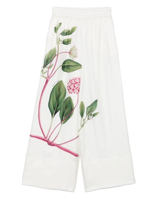 Pierre Louis Mascia Broek Met Bloemenprint in het White