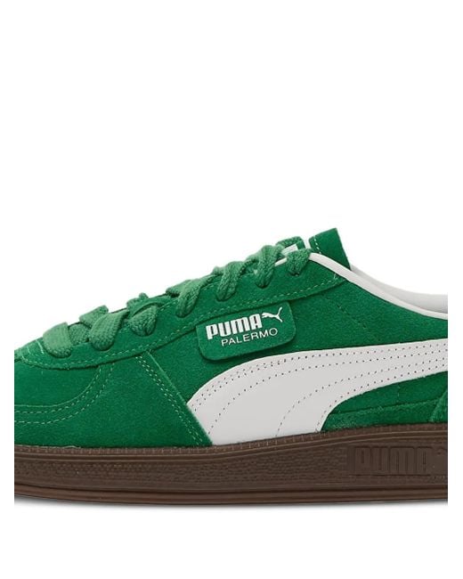 Sneakers Palermo di PUMA in Green
