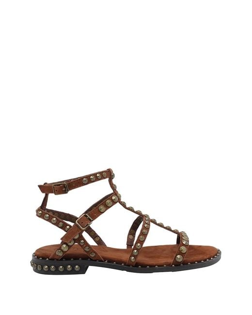 Ash Brown Precious Stud-Embellished Sandals