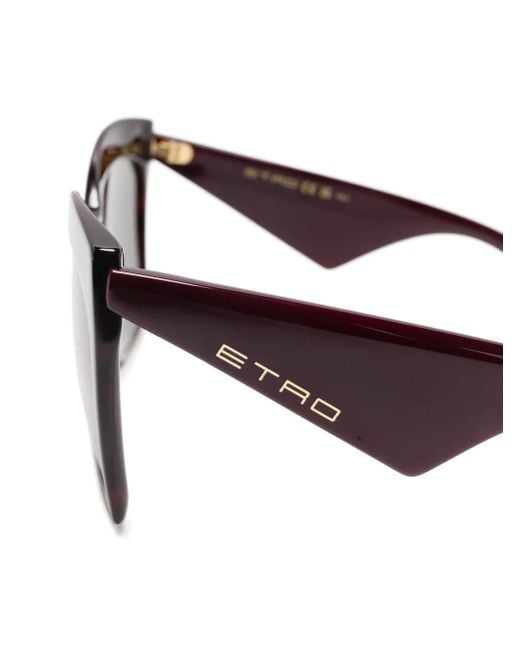 Etro Brown Oversize-Frame Sunglasses