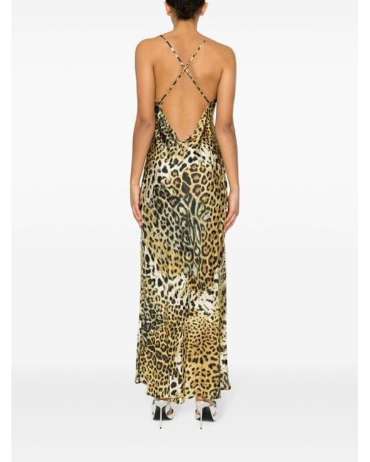 Vestido con estampado de leopardo Roberto Cavalli de color Metallic