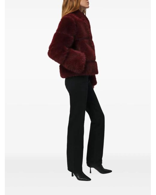 Apparis Sai Collared-Neckline Coat