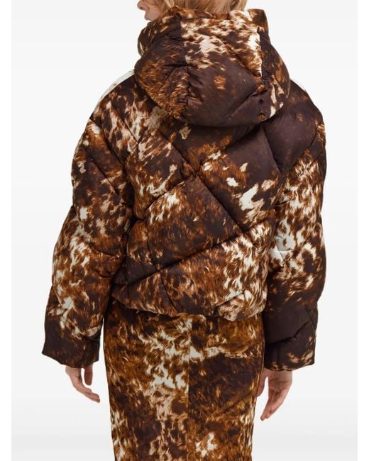 Roberto Cavalli Brown Appaloosa-Print Puffer Jacket