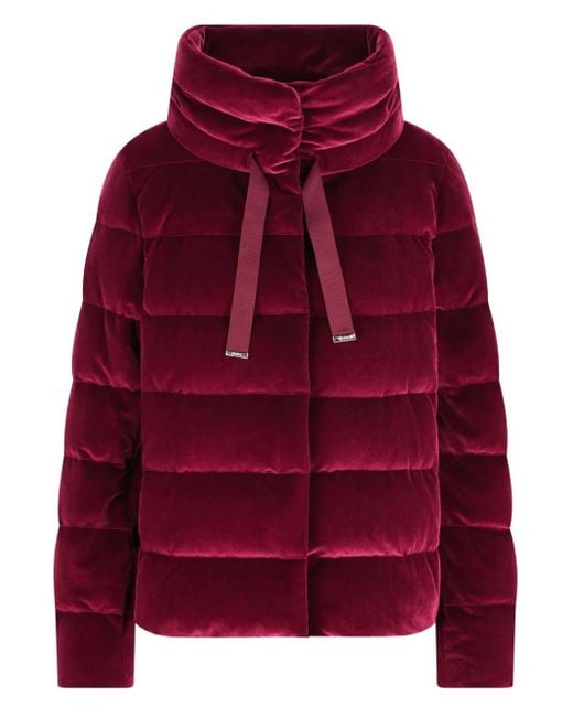 Doudoune Zippée À Col Montant Herno en coloris Red