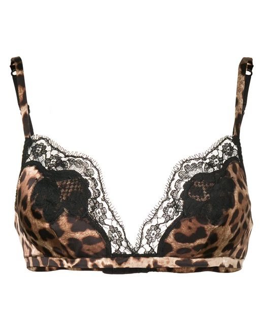 Dolce & Gabbana Brown Leopard Print Bra