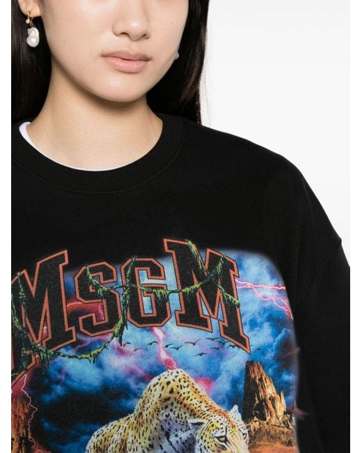 MSGM Black Graphic-print Cotton Sweatshirt