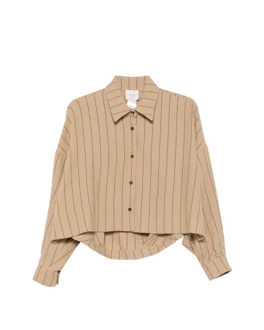Alysi Natural Pinstripe-Pattern Cropped Shirt