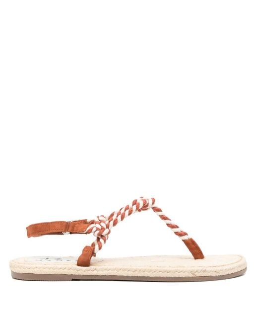 Manebí Brown Suede Slides