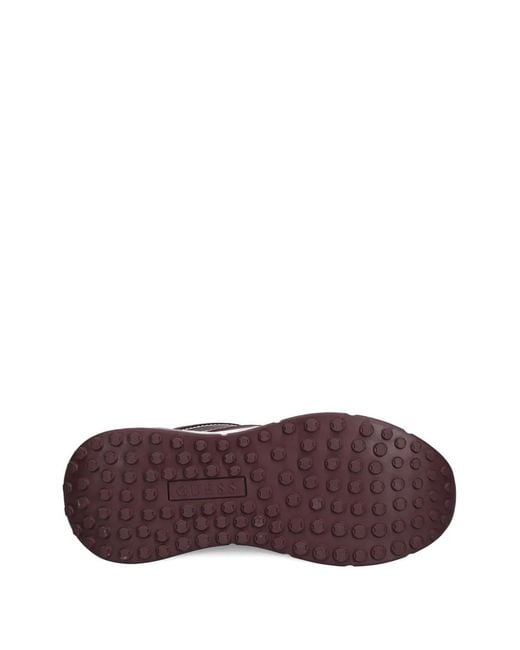 Guess Brown Trimmed Low-Top Sneakers