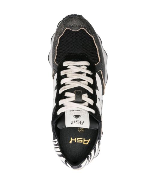 Ash store sneakers 219