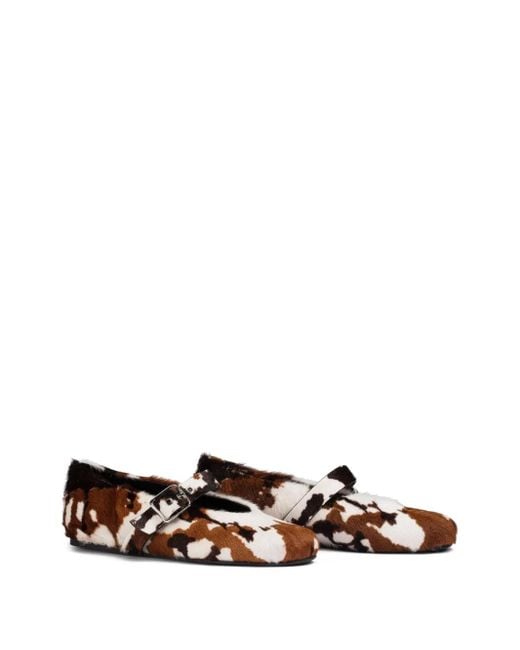 Le Silla Brown Danielle Ballet Flats