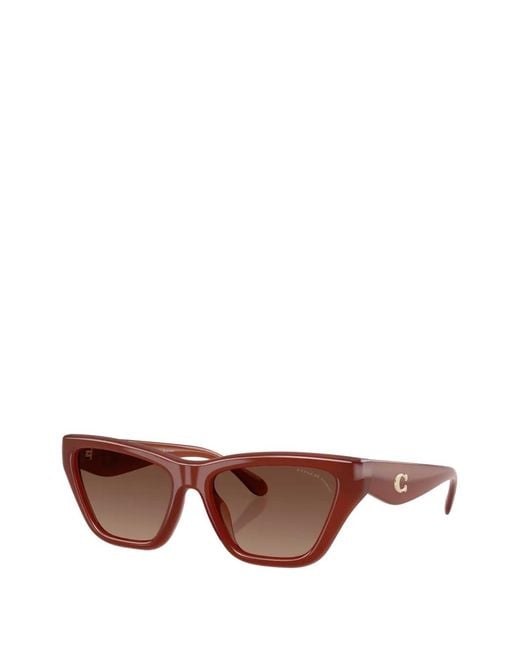 COACH Brown Cat-Eye Frame Sunglasses