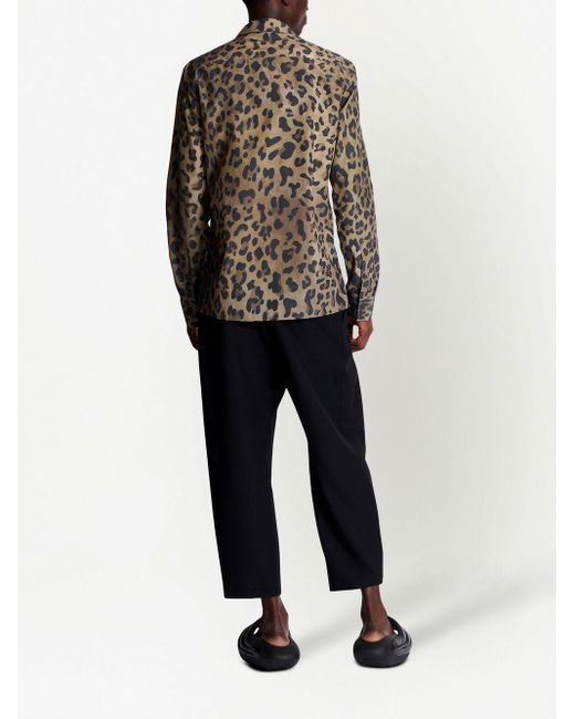 Balmain Gray Leopard Shirt for men