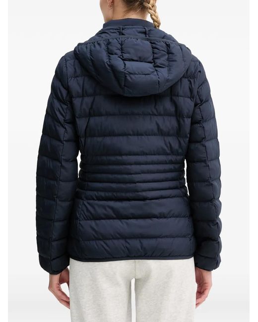 EA7 Blue Quilted Hooded Jacket