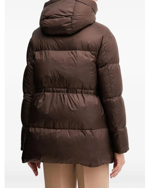 Blauer Brown Hooded Puffer Jacket