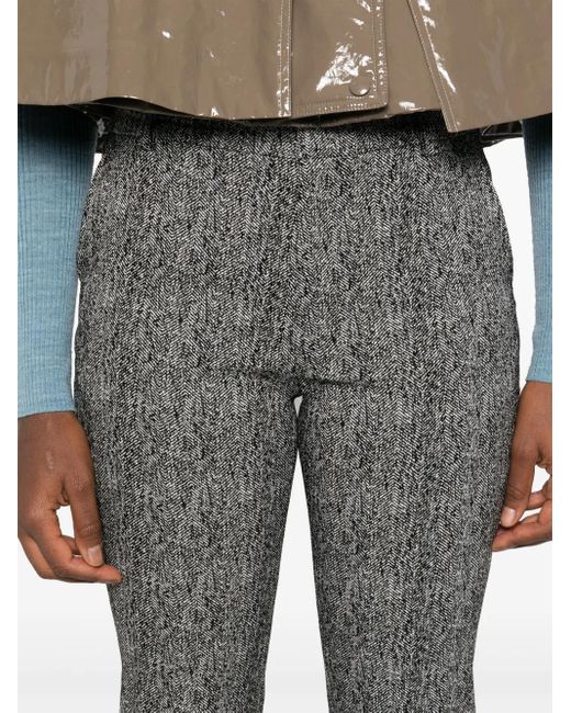 Staud Kat Broek in het Gray