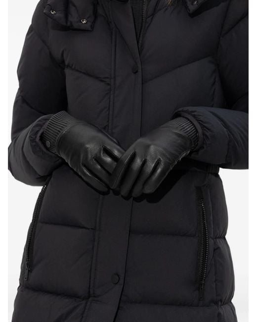 Canada Goose Black Ribbed-Cuff Gloves