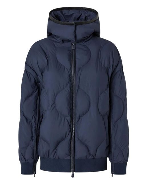 Pinko Blue Jackets