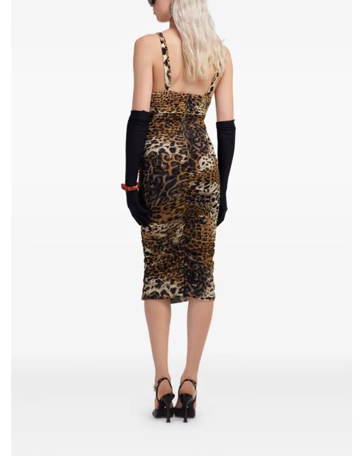 Roberto Cavalli Midi-Jurk Met Luipaardprint in het Metallic