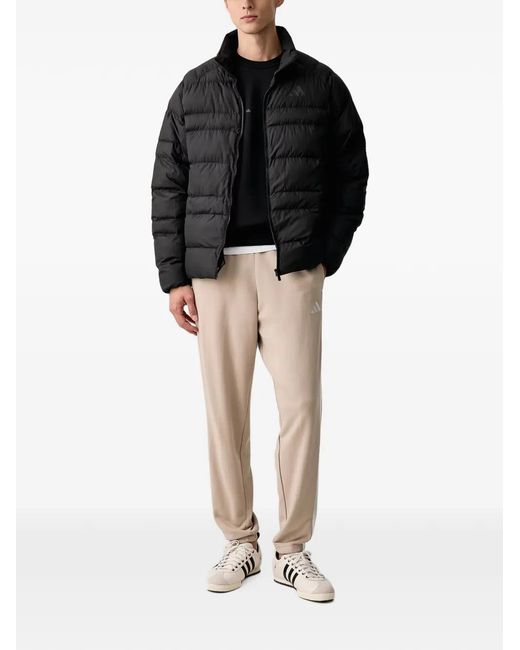 Adidas Black Essentials Packable Insulated Jacket for men
