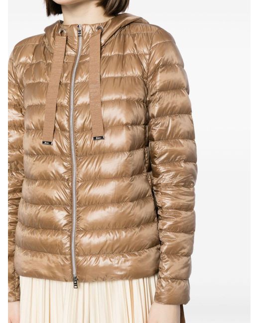 Herno Brown High-shine Quilted Puffer Jacket