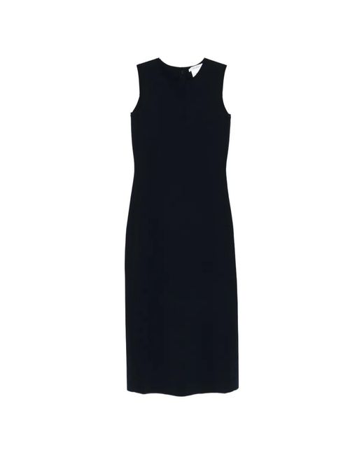Max Mara Blue Pangus Midi Dress